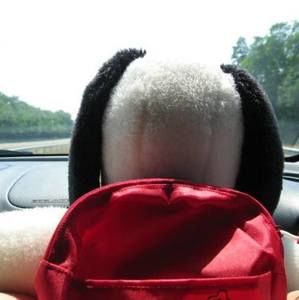 Meet your Posher, Joyce